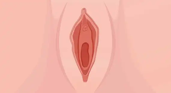 what is loose vagina